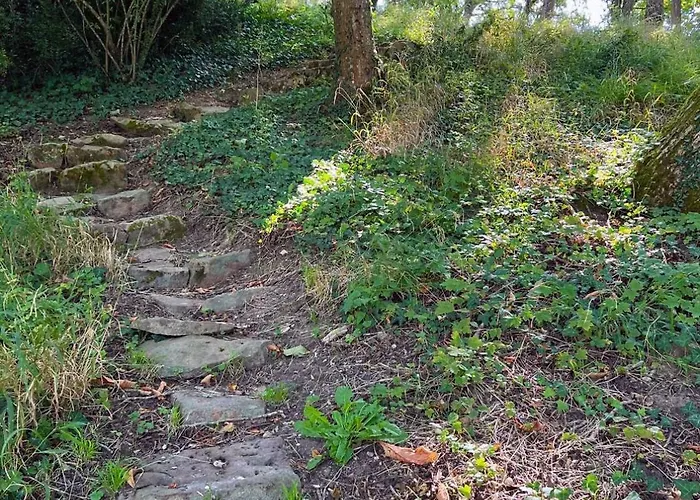Lägenhet Maison 3 Pieces - Dependance Du Chateau Gennes-Val-de-Loire